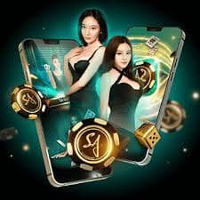 5677bet